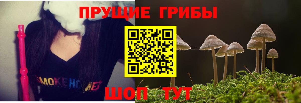 Галлюциногенные грибы Psilocybine cubensis  Вход с VPN  Лянтор 